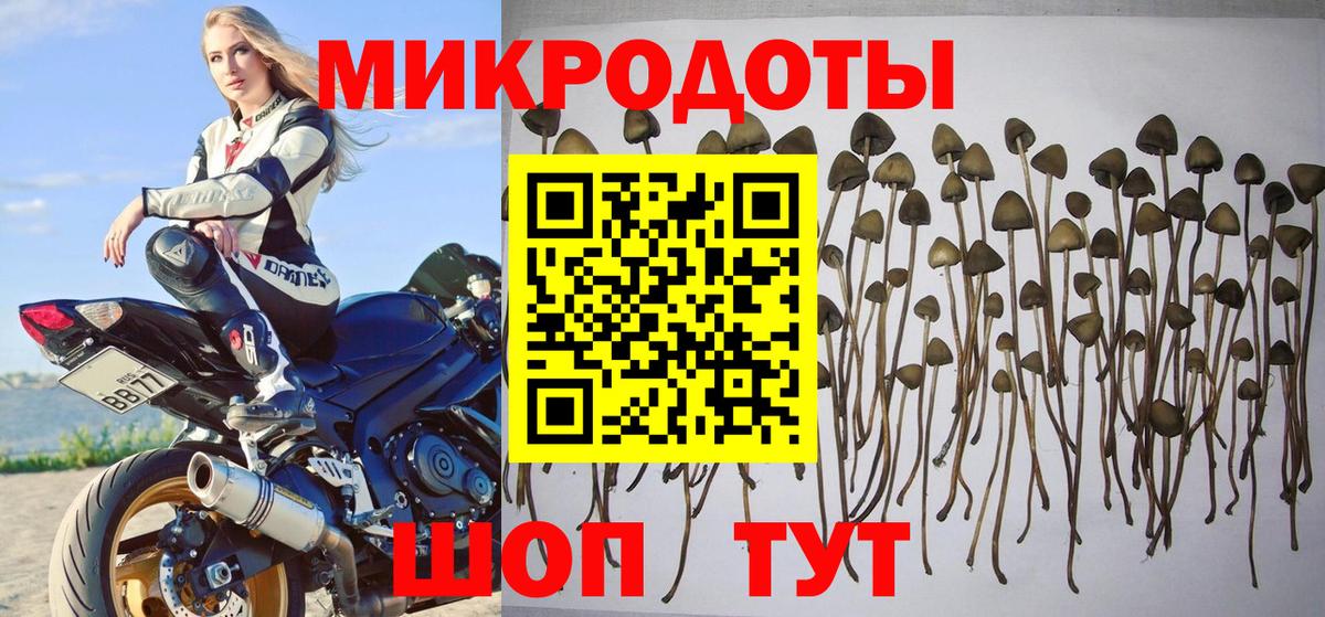 Галлюциногенные грибы прущие грибы Богородск